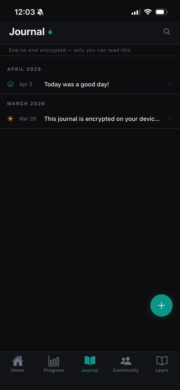 Encrypted journal in Hexys